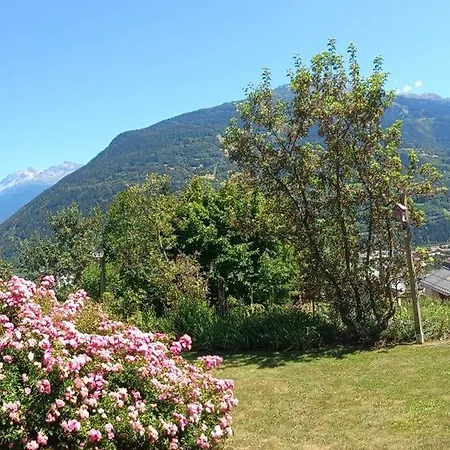 Appartement Avec Solarium *