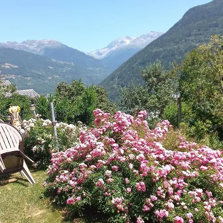 Avec Solarium *