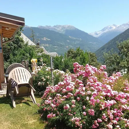 Avec Solarium *